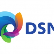 DSM