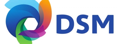 DSM